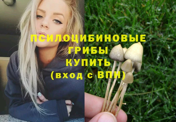 дживик Аркадак