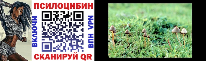 Галлюциногенные грибы мухоморы Лебедянь